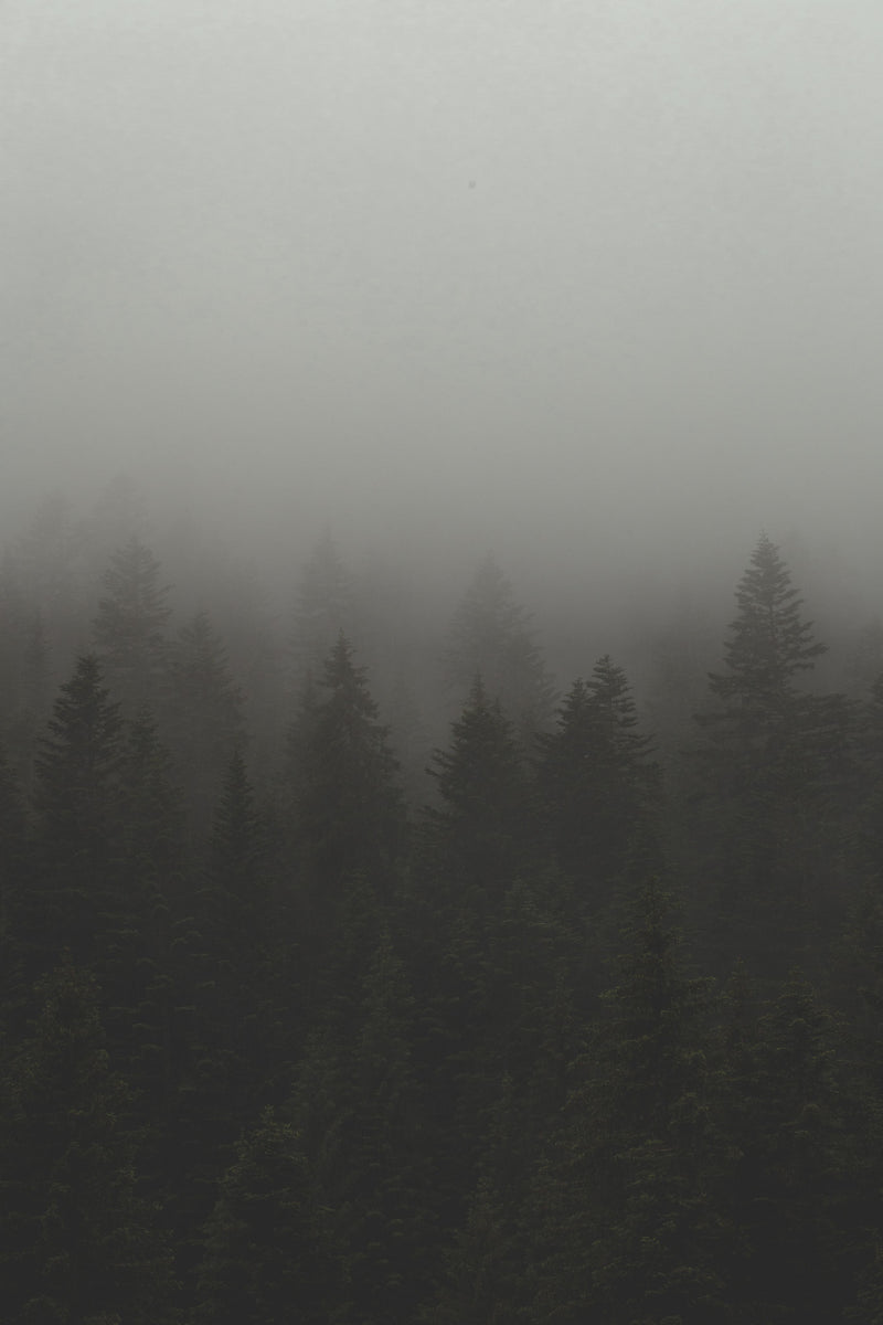 Realitees by We Love ADV