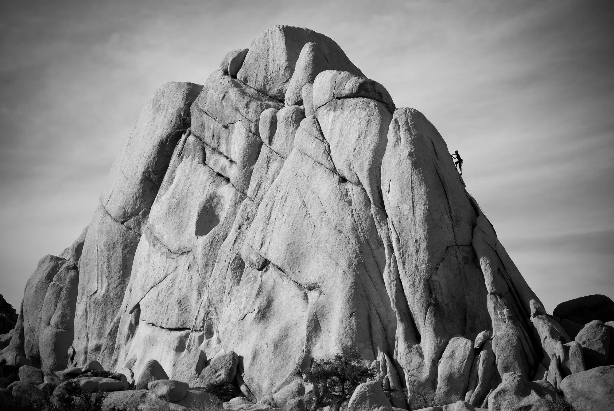 Joshua Tree Climber | Fine Art Photography Print