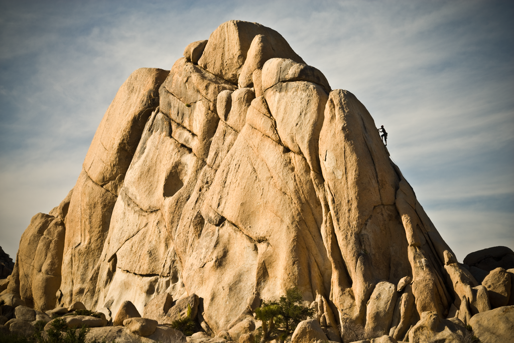 Joshua Tree Climber in Color | Fine Art Photography Print